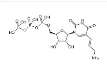 CAS號：112131-73-4，Aminoallyl-UTP，氨基烯丙基尿苷三磷酸