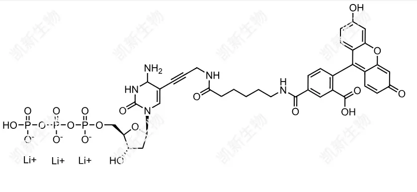 FAM-11-dCTP，熒光素標(biāo)記脫氧胞苷三磷酸：高效熒光標(biāo)記的脫氧胞苷三磷酸衍生物及其分子生物學(xué)應(yīng)用