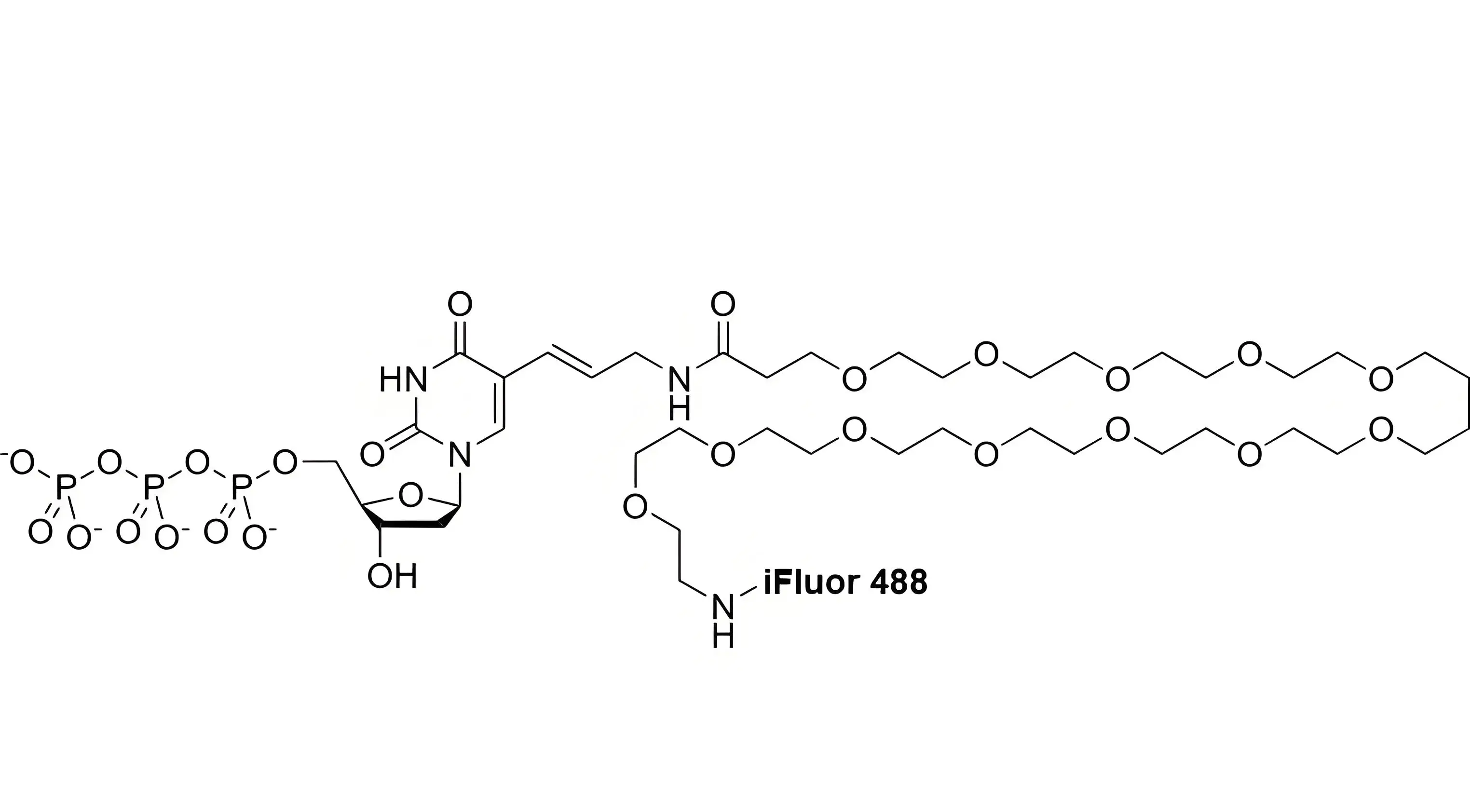 iFluor488-PEG12-dUTP，iFluor488-十二聚乙二醇-脫氧尿苷三磷酸在反應體系中的溶解穩(wěn)定性解析