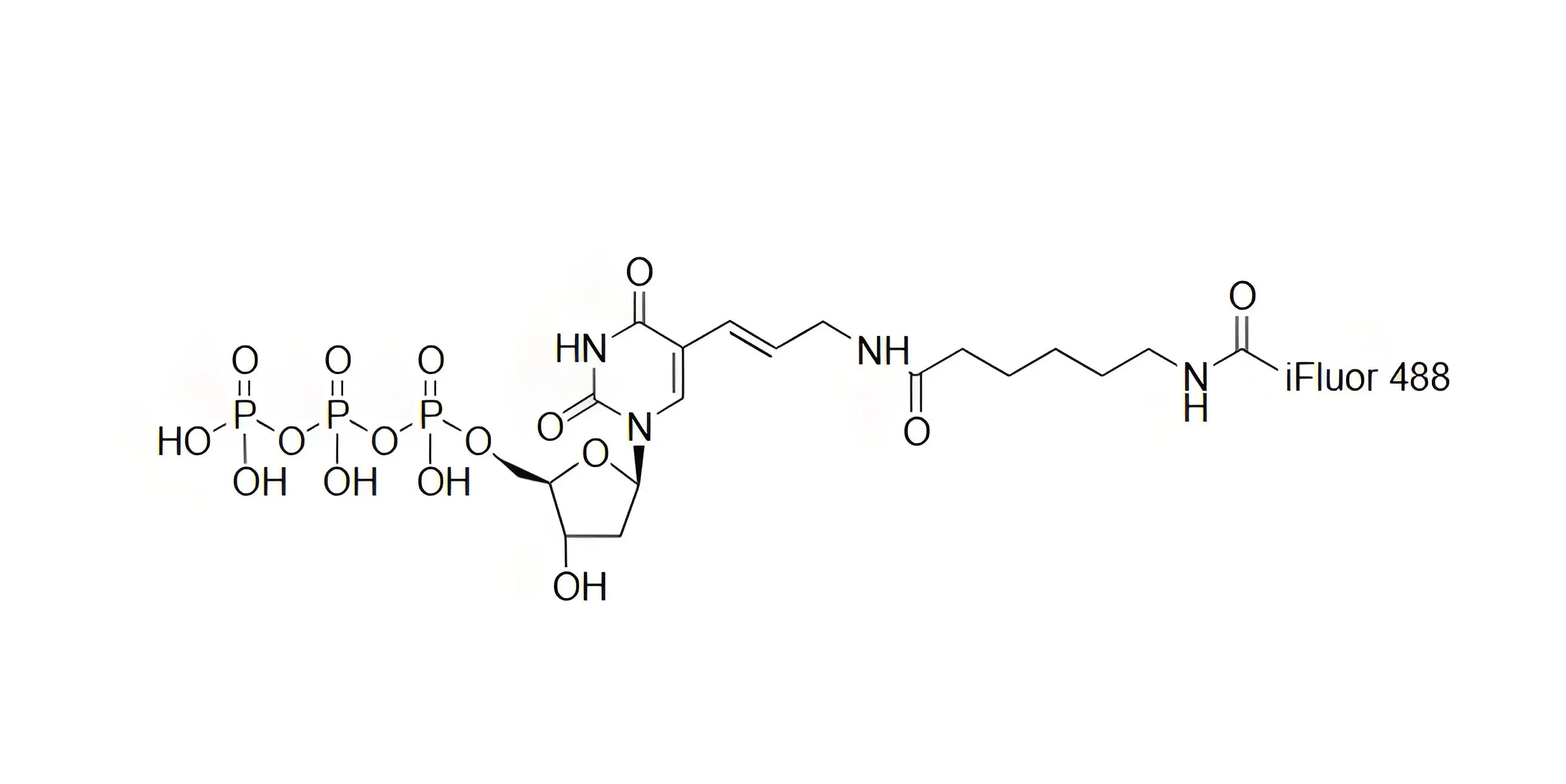 iFluor488-dUTP，iFluor488-脫氧尿苷三磷酸在PCR和逆轉(zhuǎn)錄中的表現(xiàn)