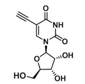 5-Ethynyluridine，5-EU，69075-42-9，核心結(jié)構(gòu)特點是在尿苷的5位碳上引入了一個乙炔基
