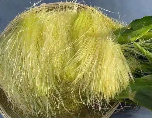 痛風食療指南！8種低嘌呤食物建議常吃，溫和緩解不適少復發(fā)